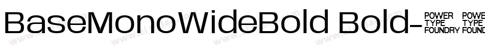 BaseMonoWideBold Bold字体转换